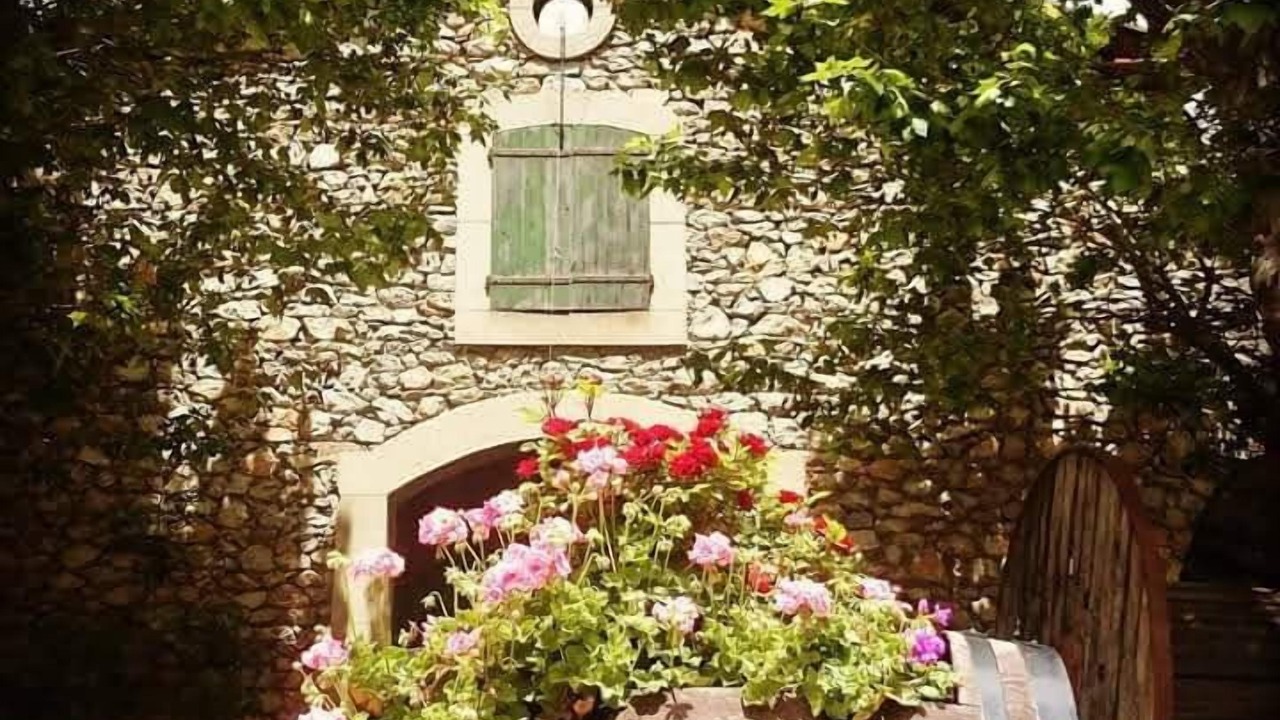 Photo of Outdoor in Caudies-de-Fenouilledes