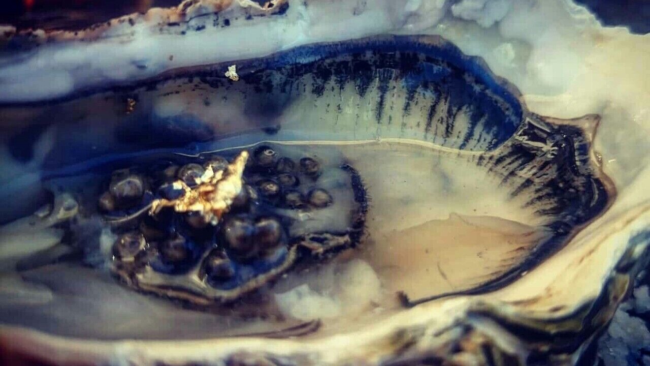 Photo of Others in Caudies-de-Fenouilledes