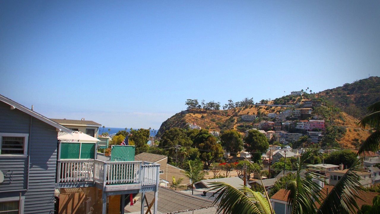 Photo of Others in Avalon