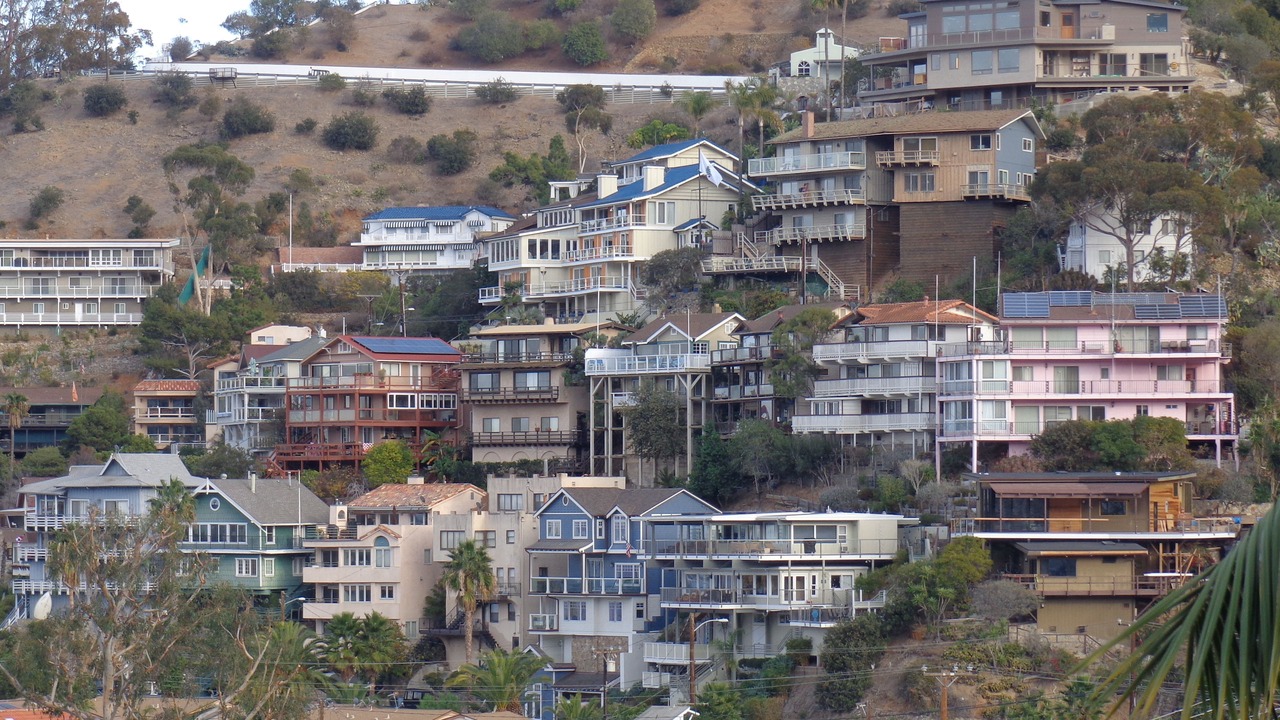 Photo of Others in Avalon