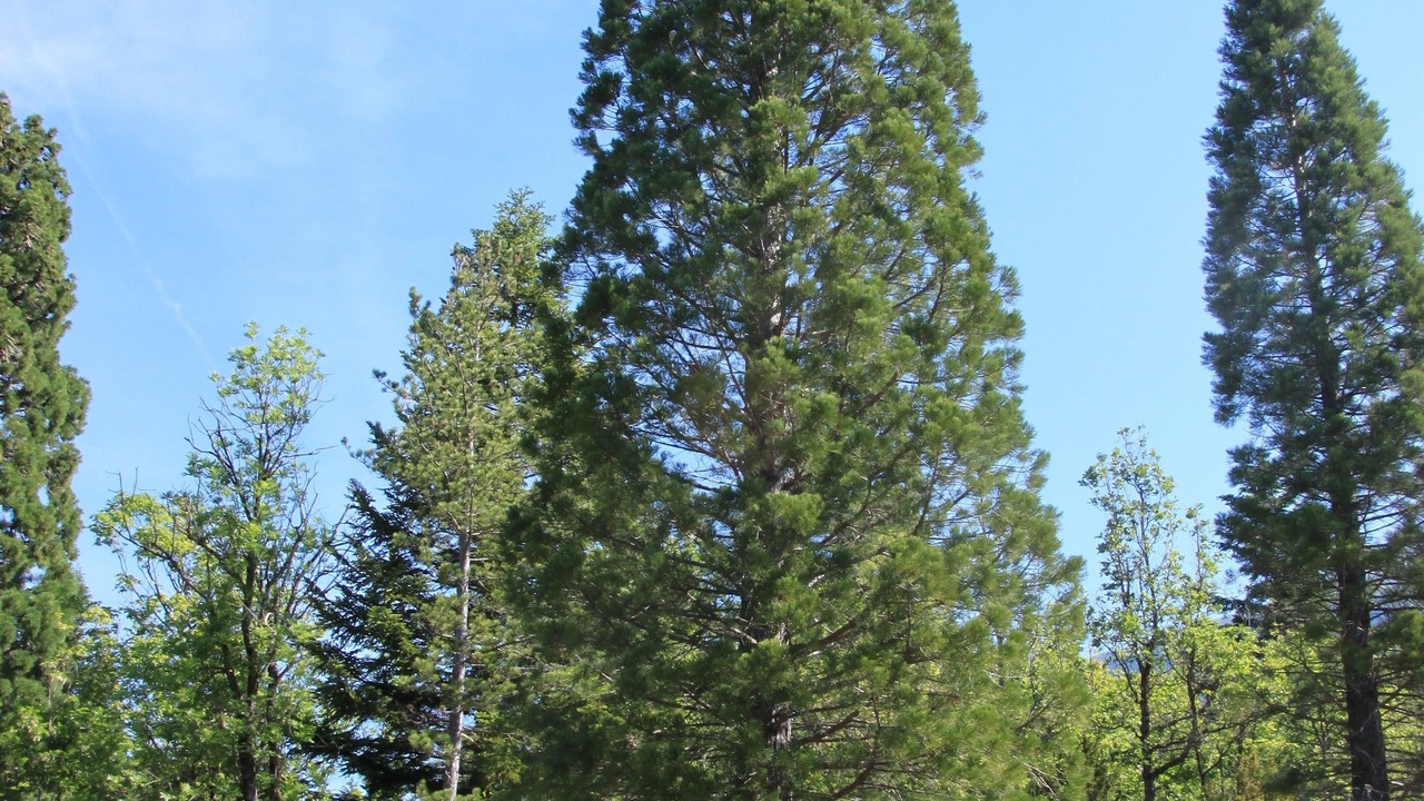 Photo of Outdoor in Saint-Pierre-d'Argencon