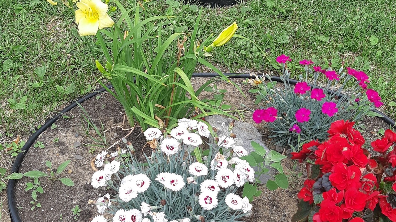 Photo of Outdoor in Roberval