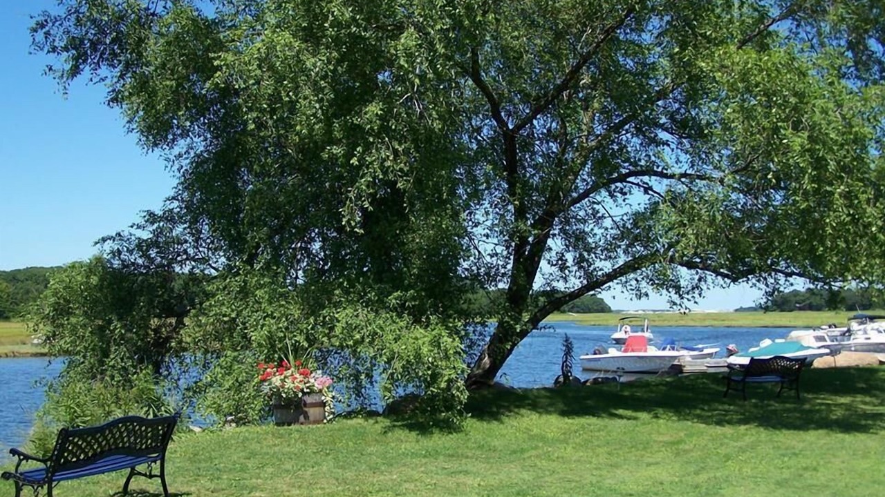 Photo of Outdoor in Essex