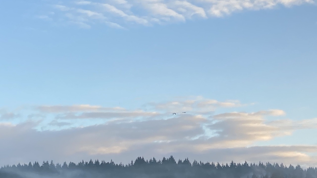 Photo of Outdoor in Woodinville