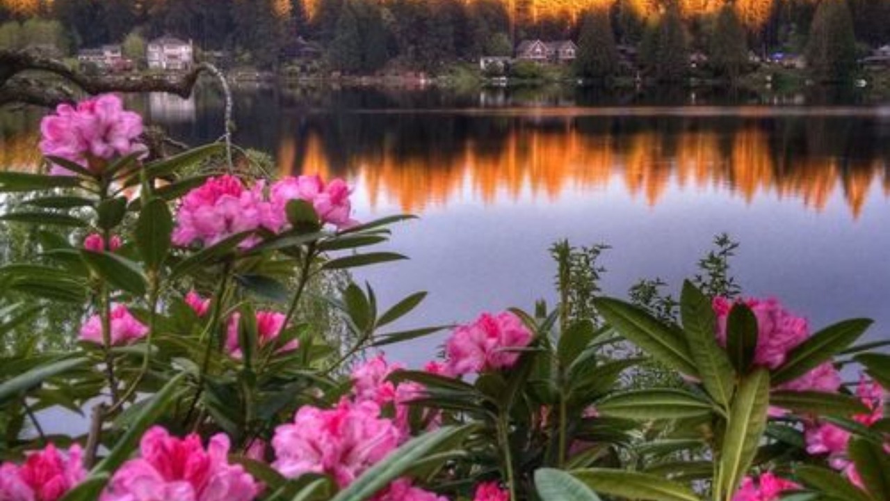 Photo of Outdoor in Woodinville