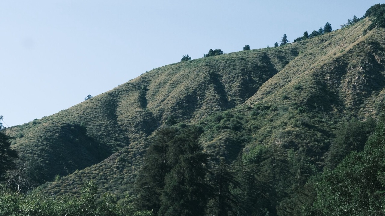 Photo of Outdoor in Jenner