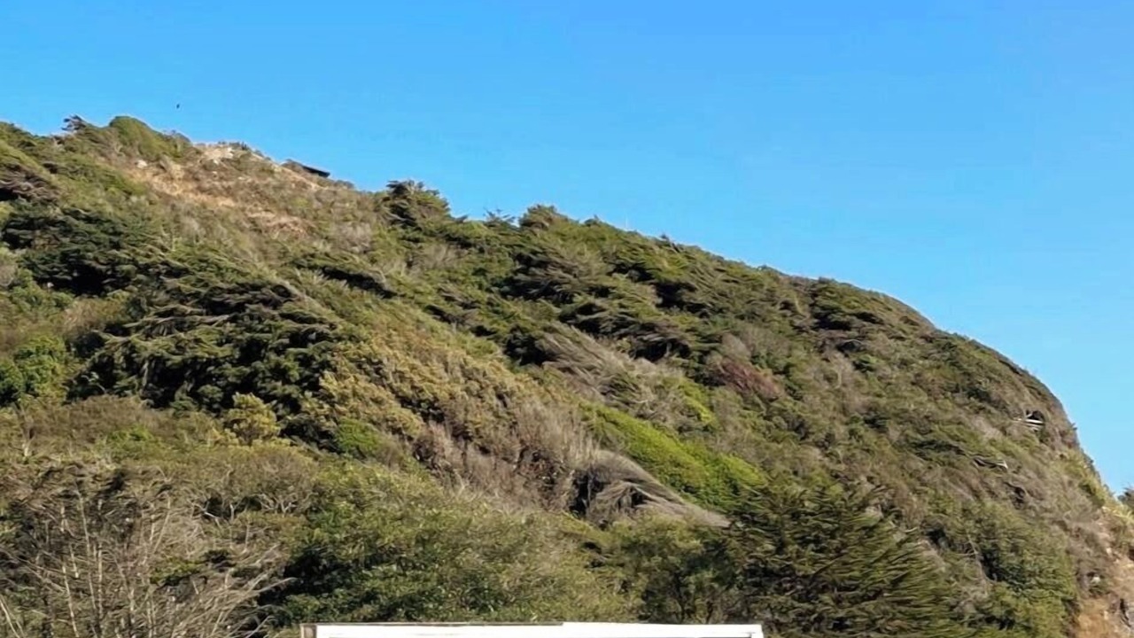 Photo of Outdoor in Jenner