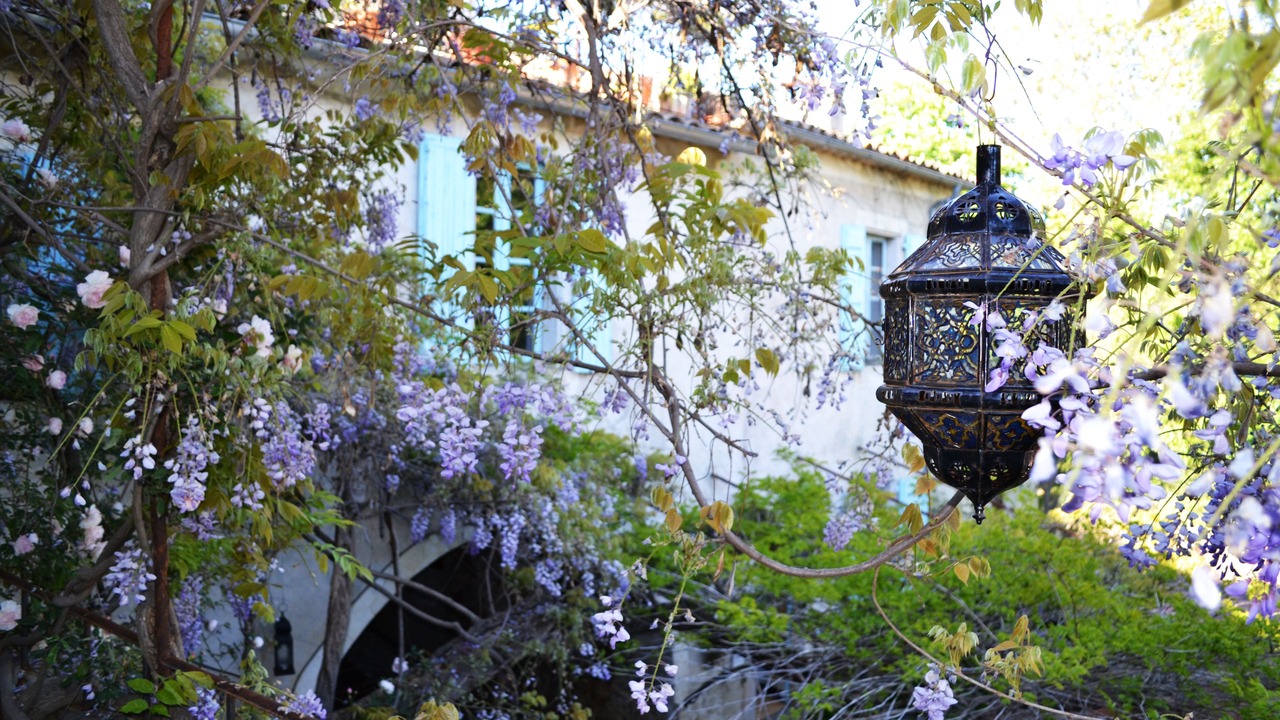 Photo of Patio Balcony in Durfort-et-Saint-Martin-de-Sossenac
