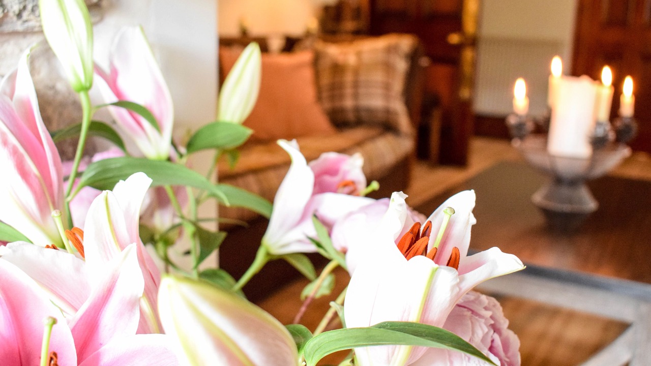 Photo of Others in Pitlochry