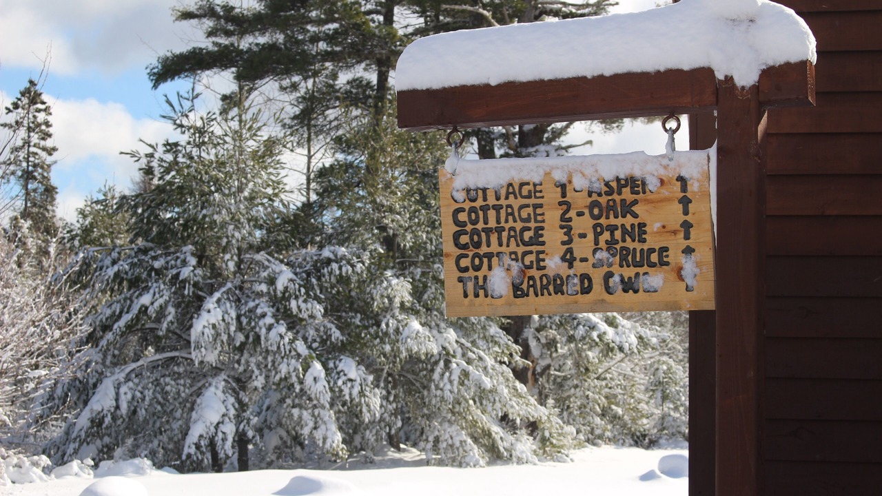 Photo of Outdoor in Sable River