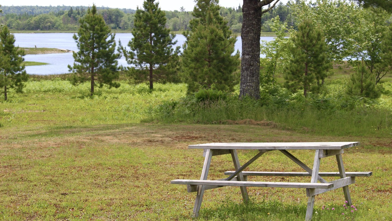 Photo of Outdoor in Sable River