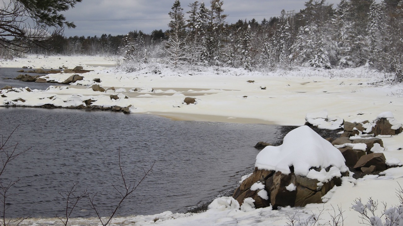 Photo of Others in Sable River