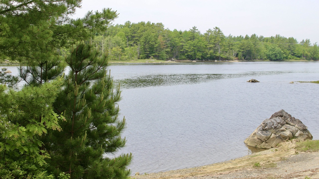 Photo of Others in Sable River