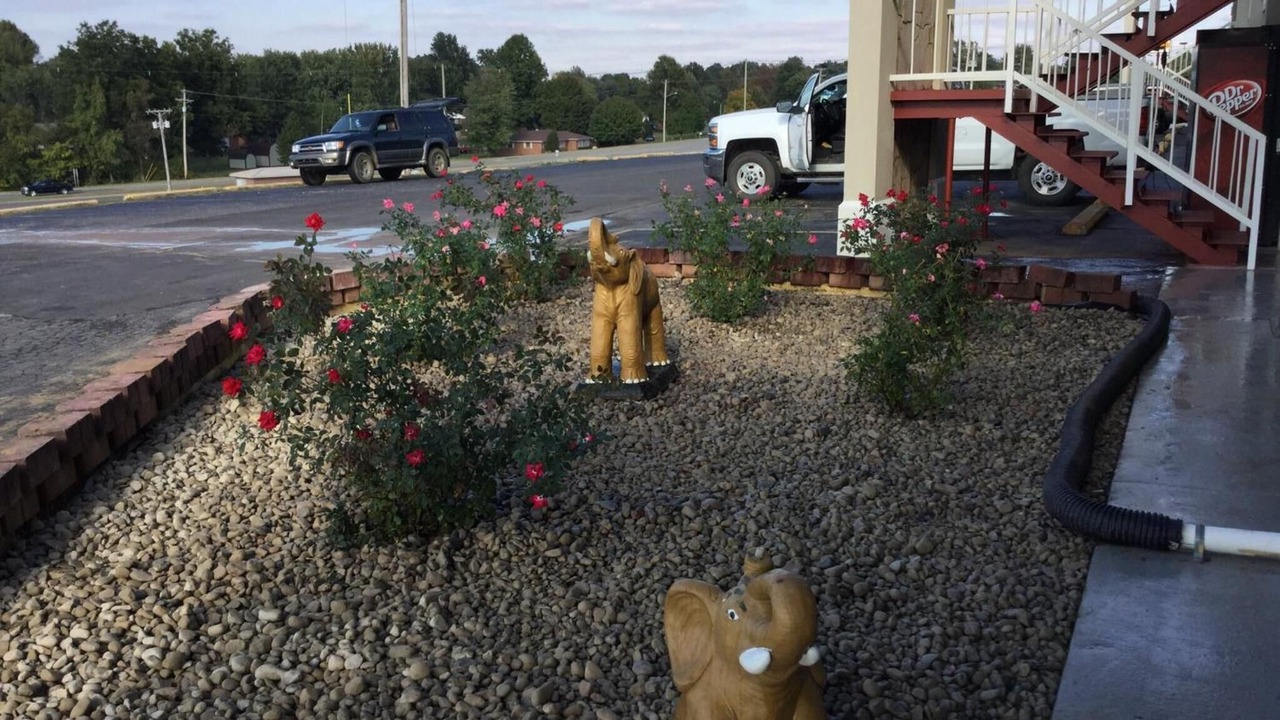 Photo of Outdoor in Madisonville