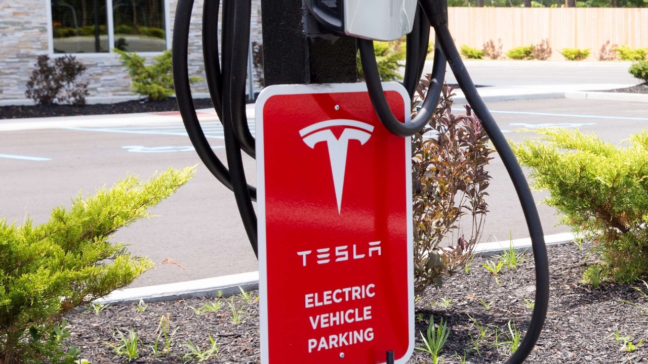 Photo of Others in Galloway