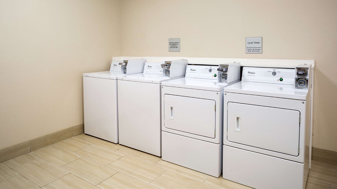 Photo of Others in Galloway