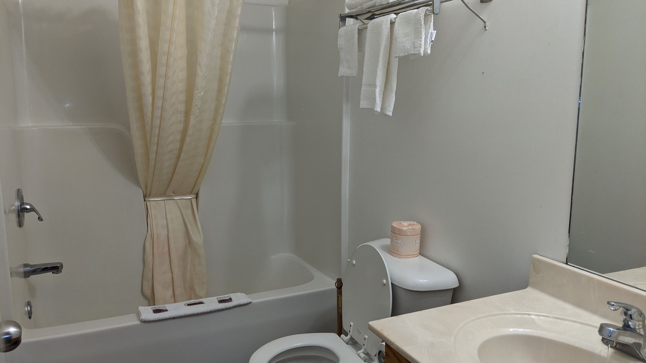 Photo of Bathroom in Tiptonville