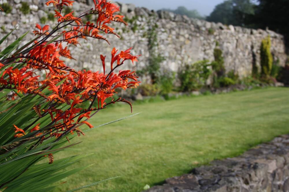 Photo of Outdoor in Dollar