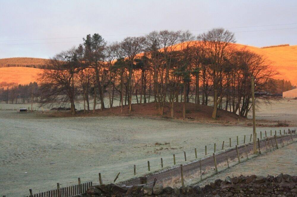 Photo of Others in Dollar