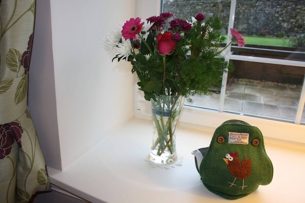 Photo of Others in Dollar