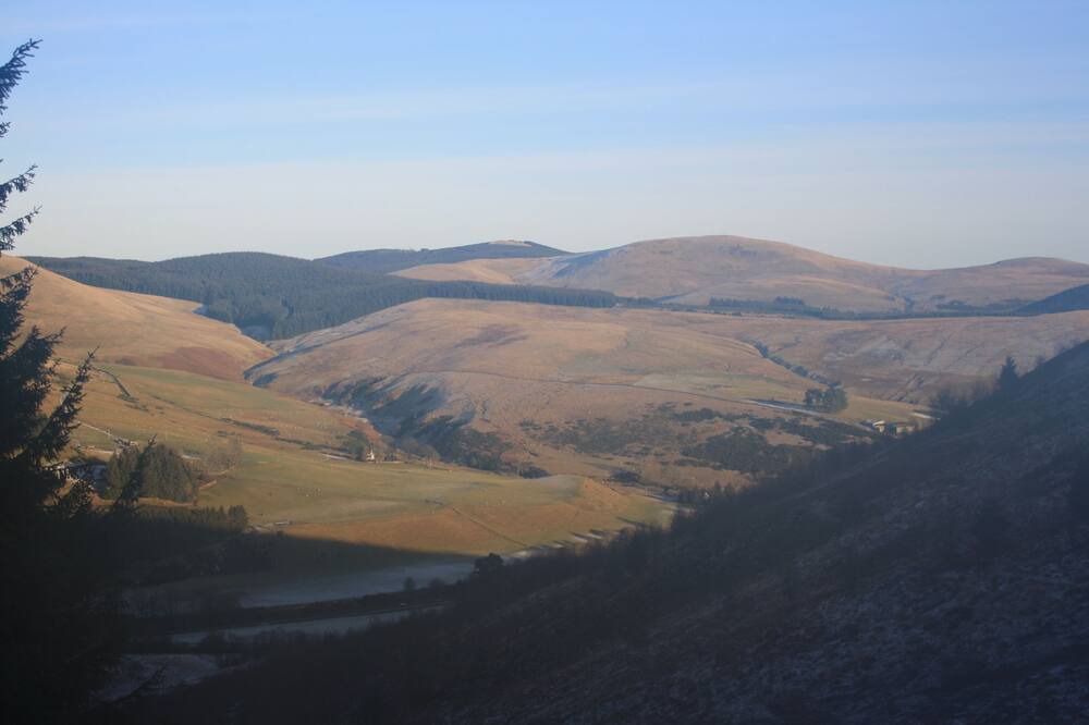 Photo of Others in Dollar