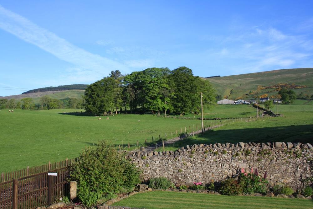 Photo of Outdoor in Dollar