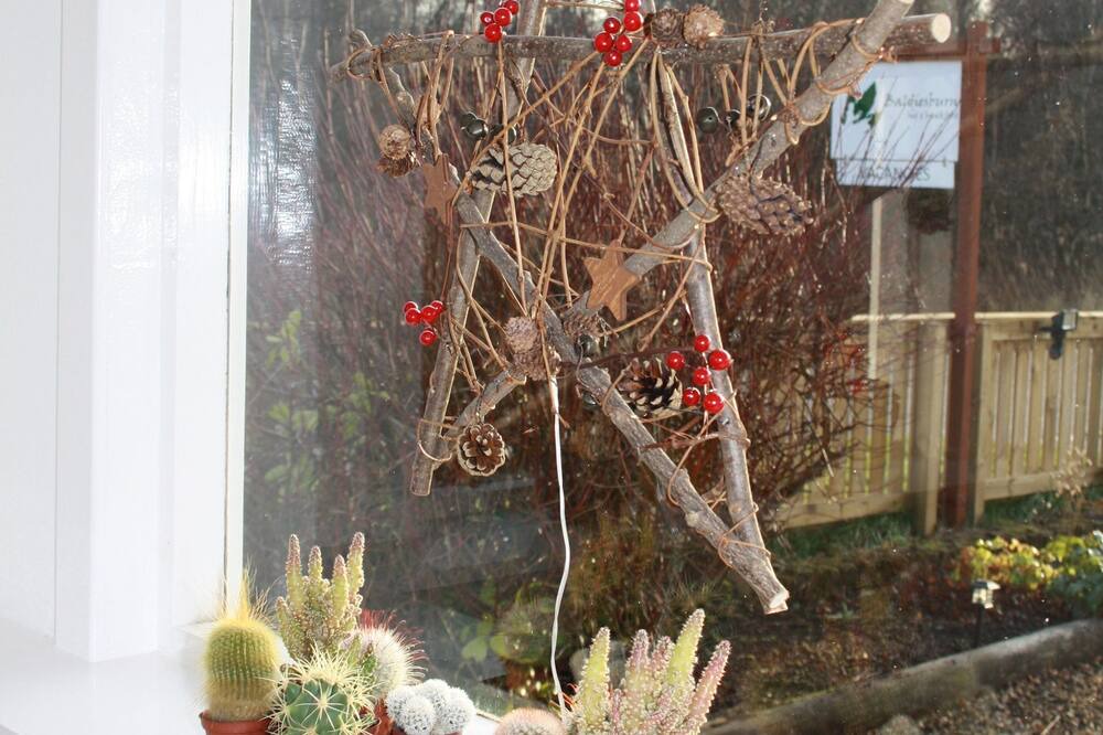 Photo of Others in Dollar