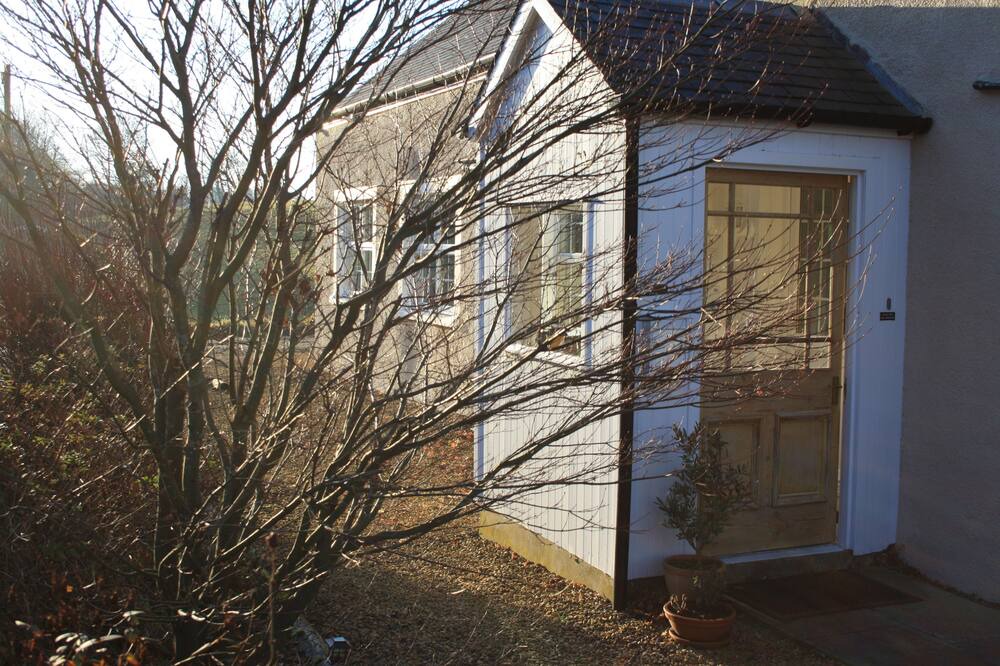 Photo of Others in Dollar