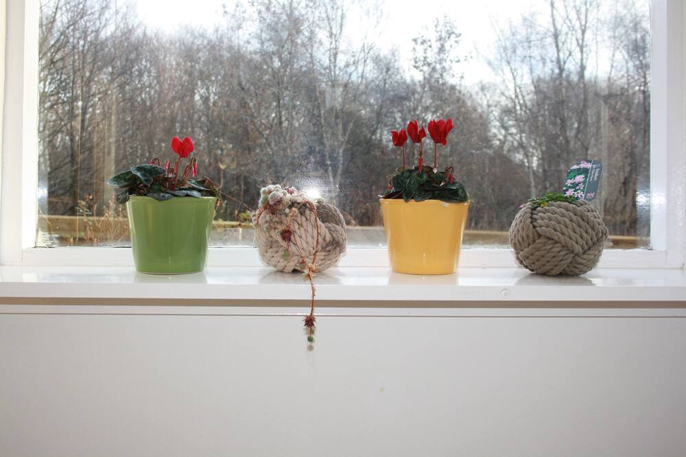 Photo of Others in Dollar