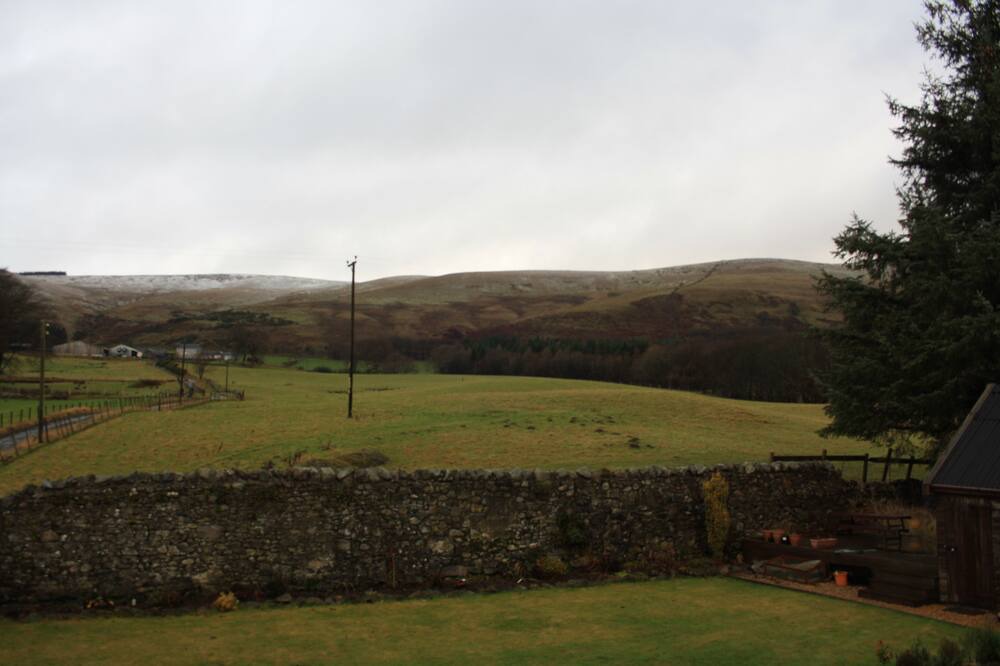 Photo of Others in Dollar