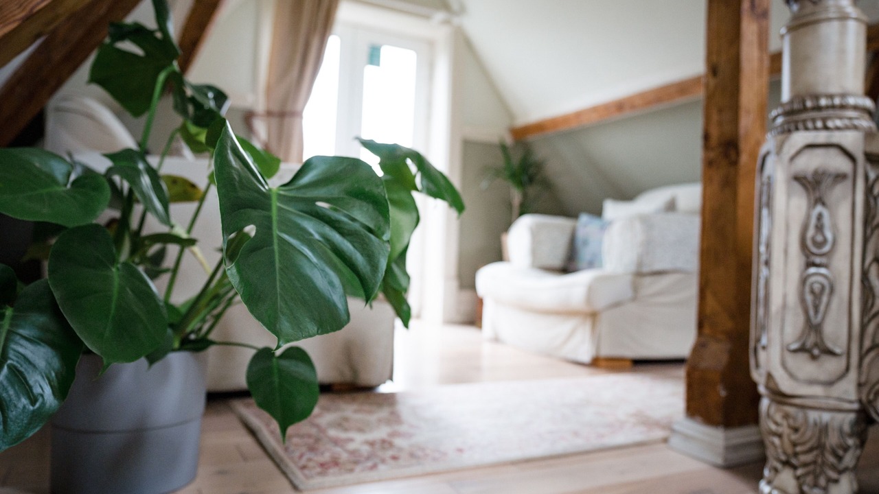 Photo of Others in Hallen