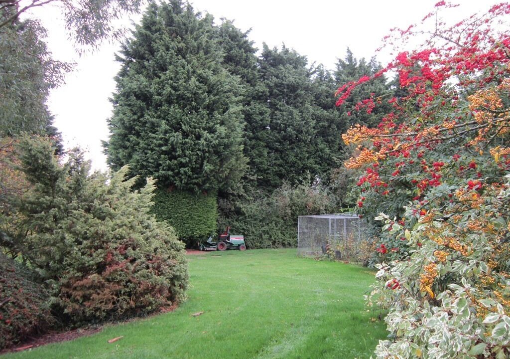 Photo of Others in Sudbury