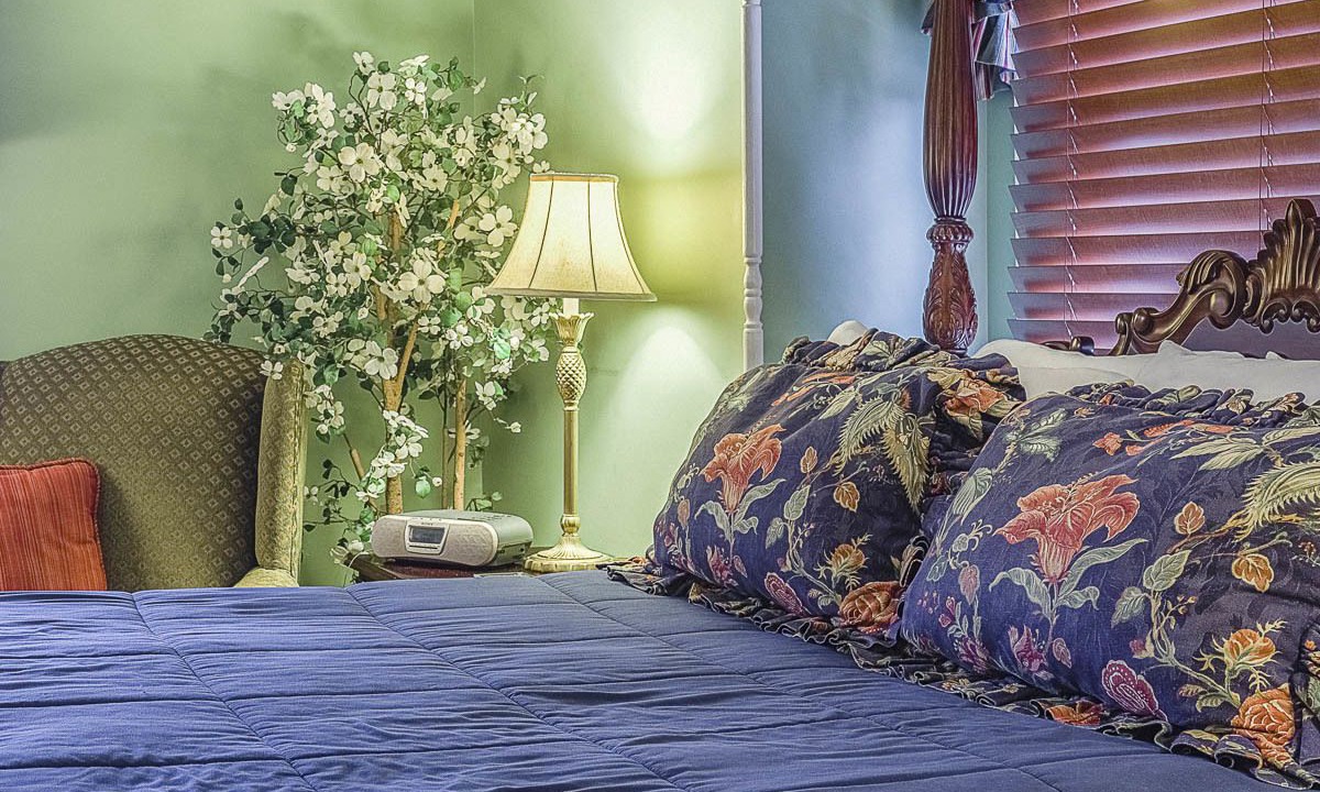 Photo of Others in St. Michaels