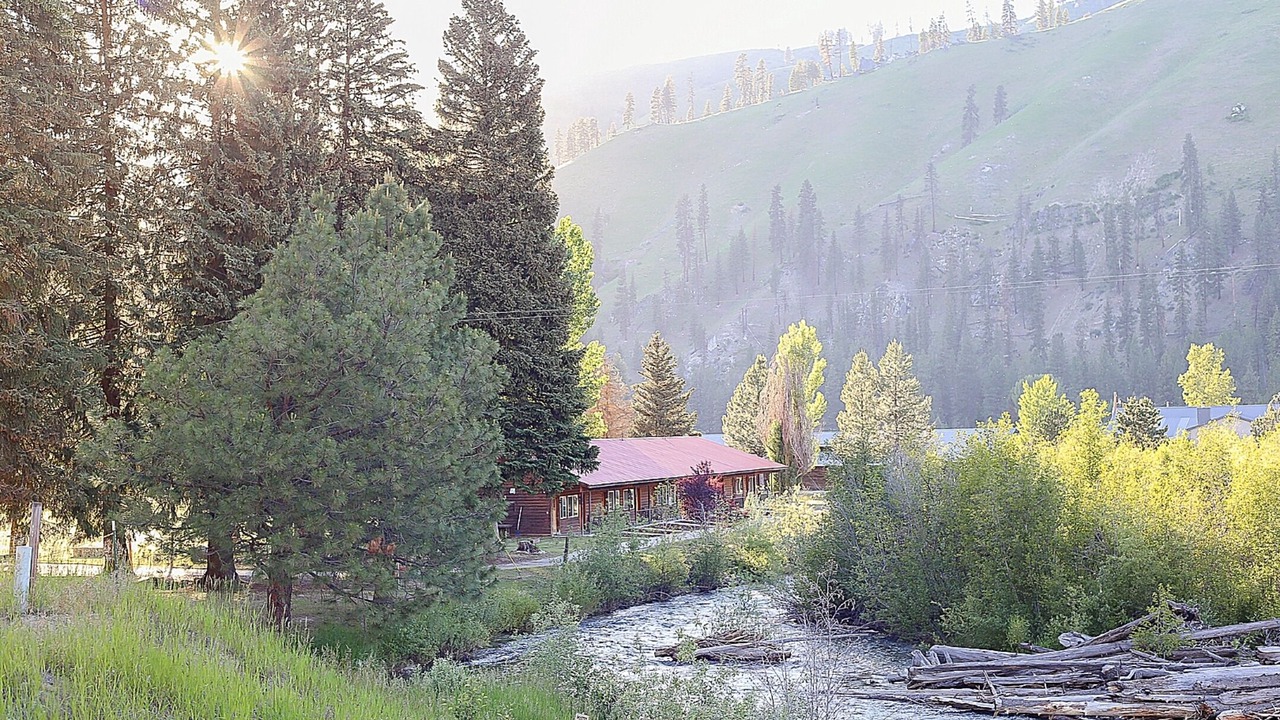 Photo of Others in Lowman