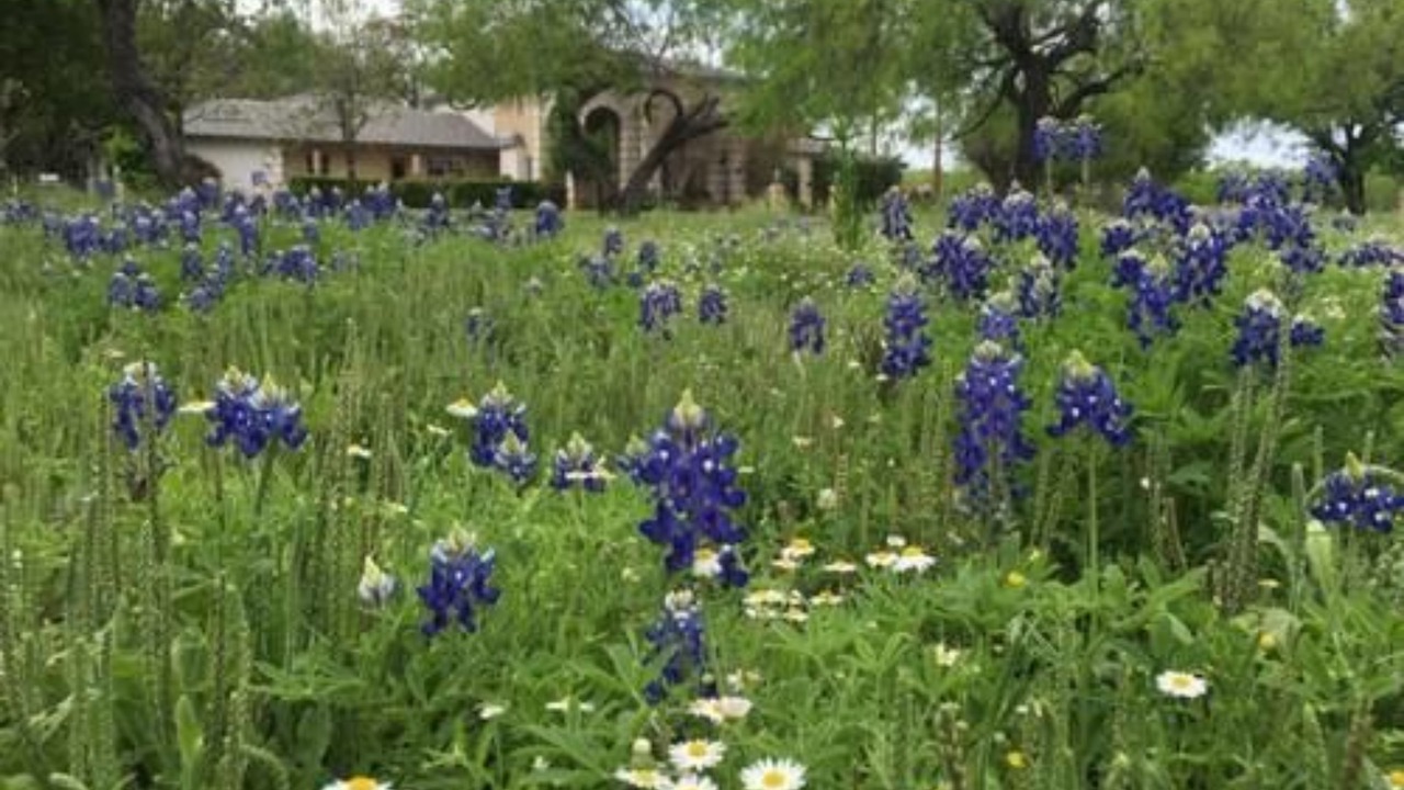 Photo of Others in Uvalde