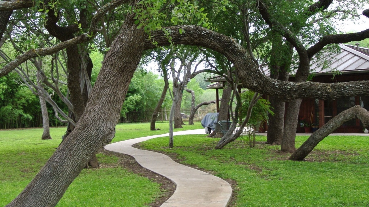 Photo of Others in Uvalde