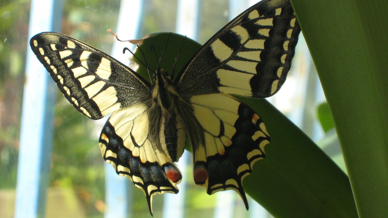 Photo of Others in Vic-la-Gardiole