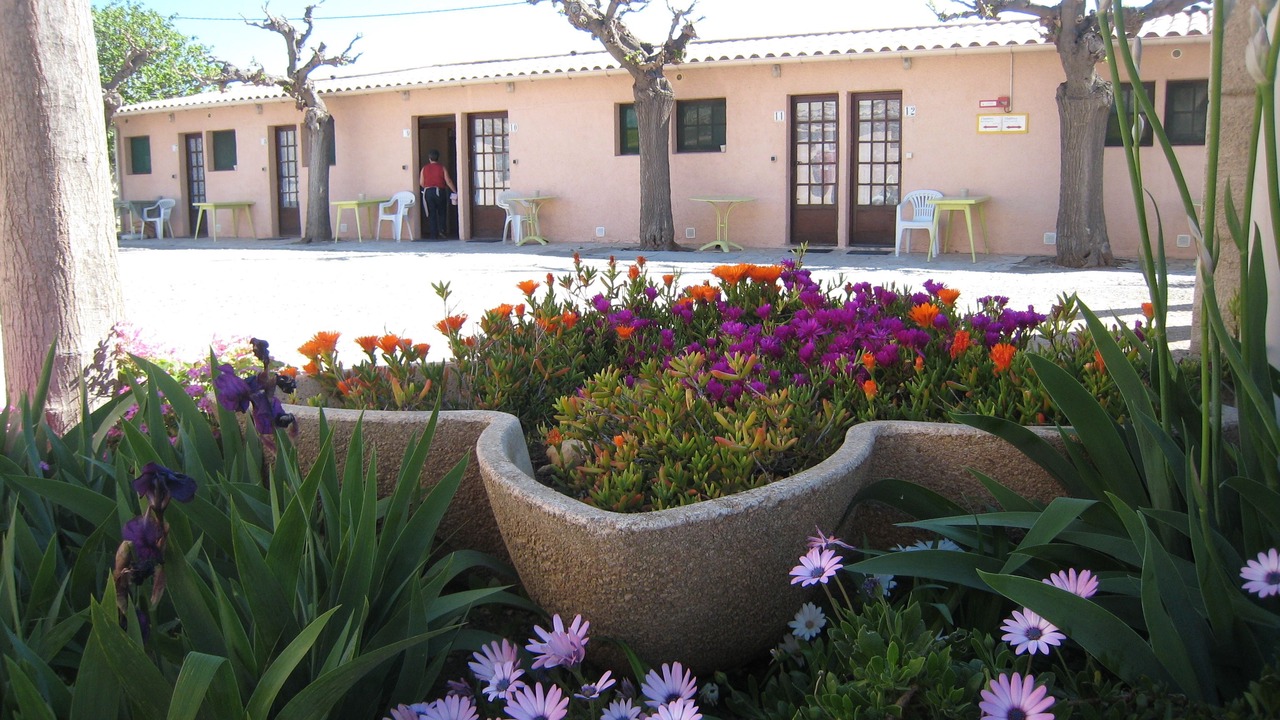 Photo of Others in Vic-la-Gardiole