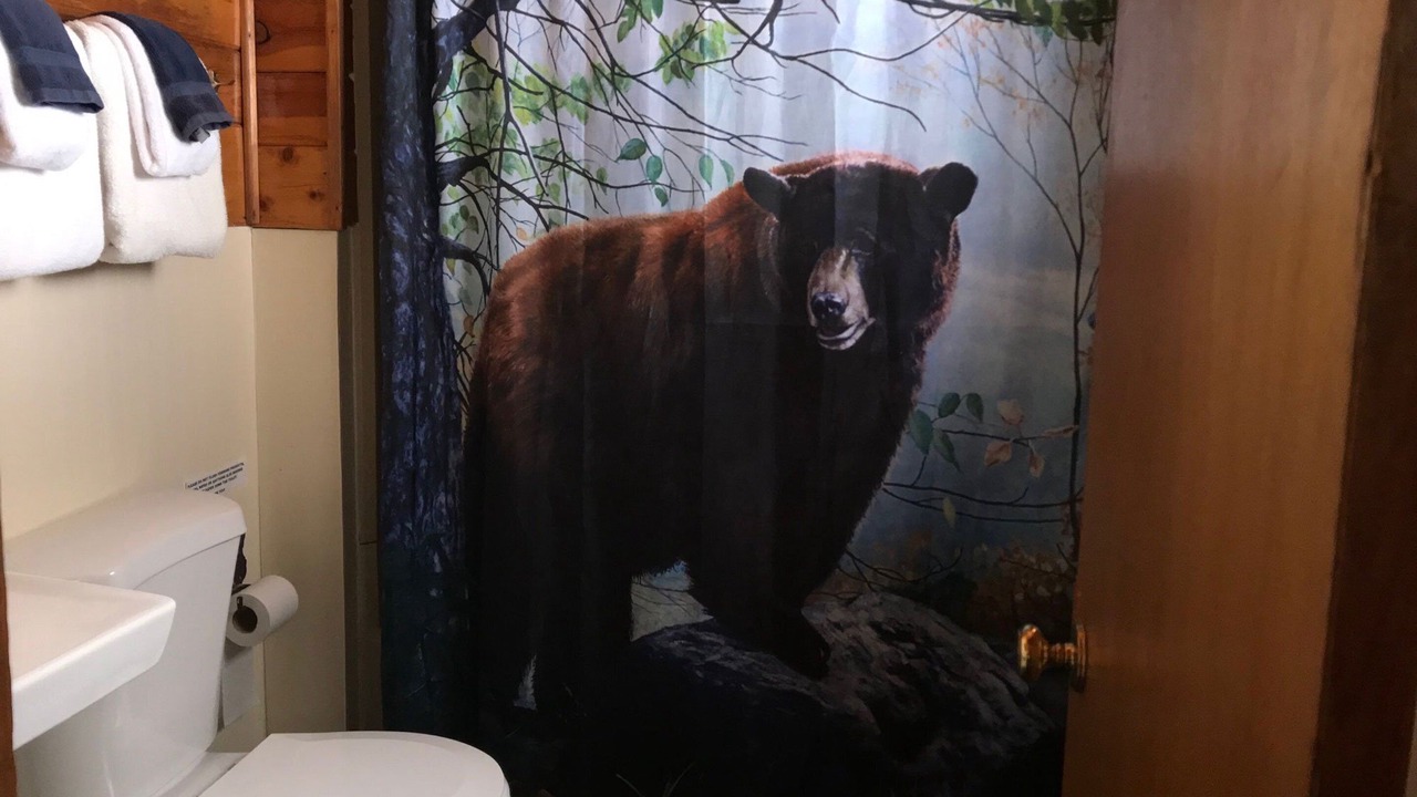 Photo of Bathroom in Chama