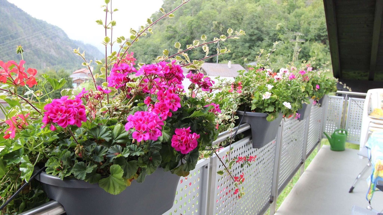 Photo of Outdoor in Morel