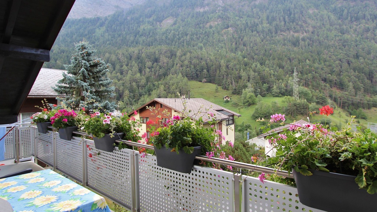 Photo of Outdoor in Morel