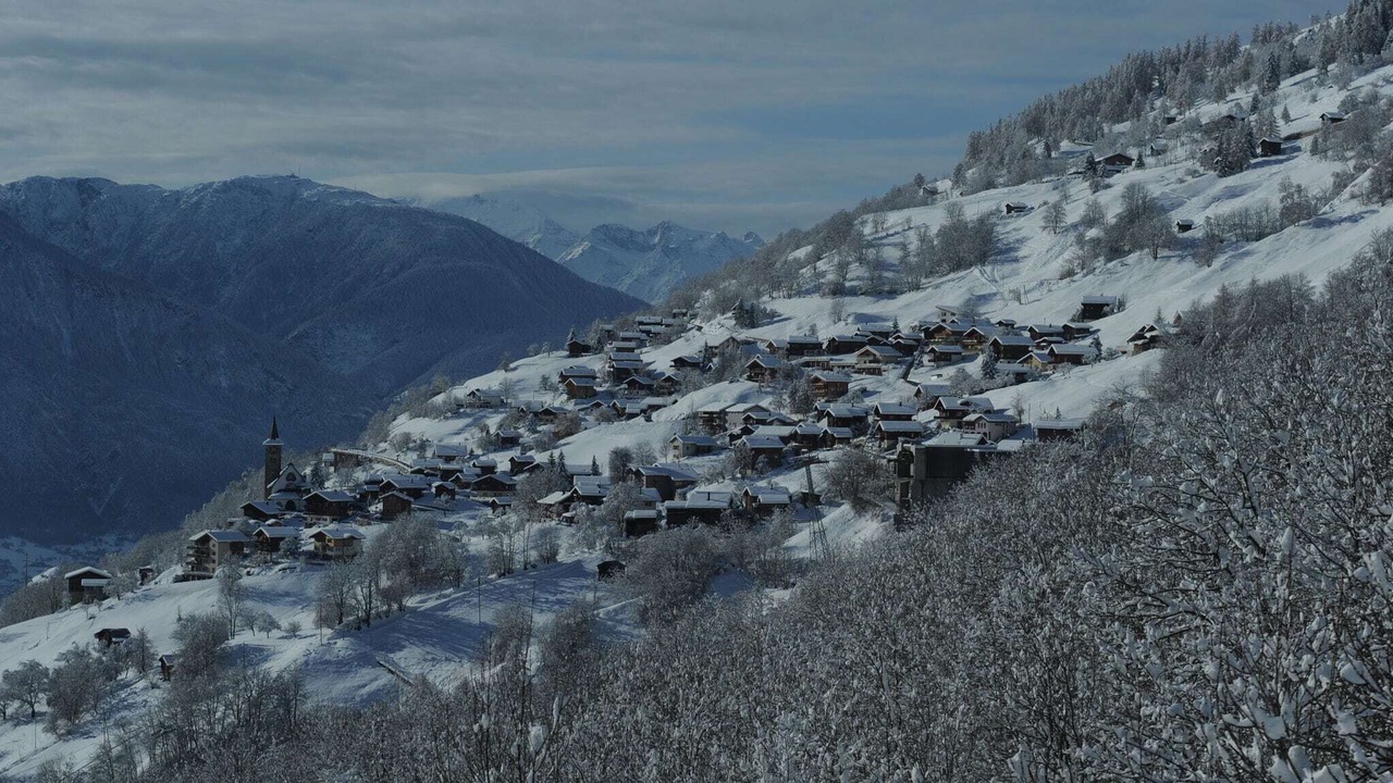Photo of Others in Morel