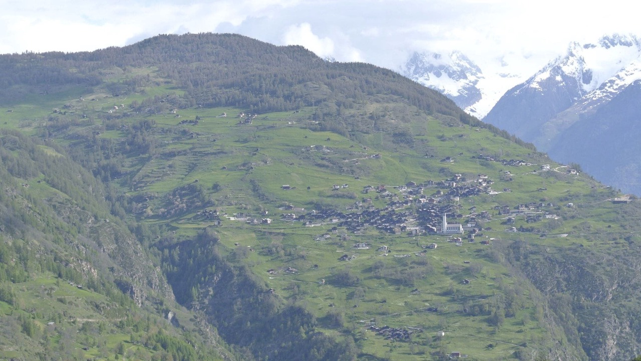 Photo of Others in Morel