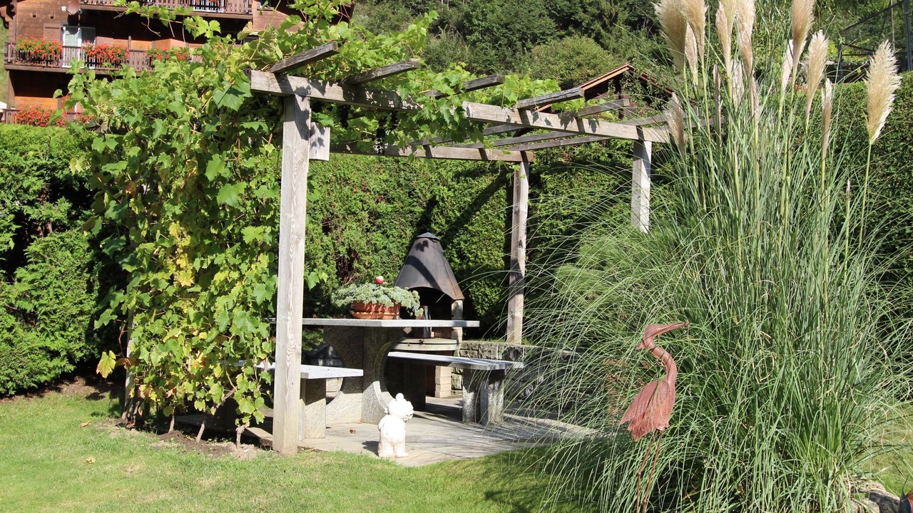 Photo of Outdoor in Morel