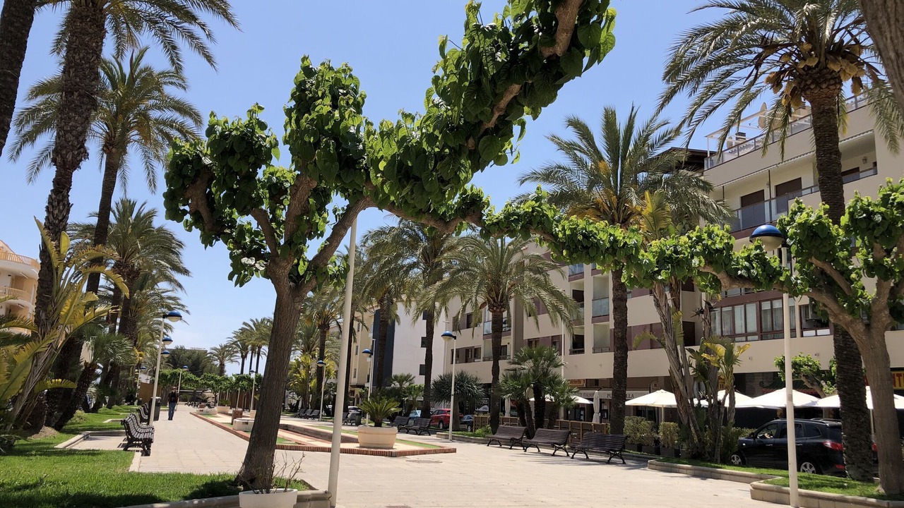 Photo of Outdoor in San Jaime