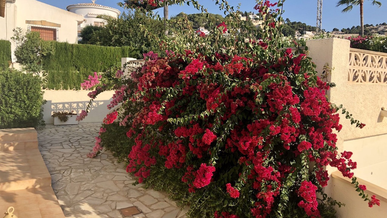 Photo of Outdoor in San Jaime
