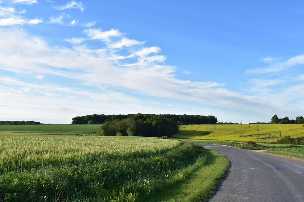 Photo of Others in Oussoy-en-Gatinais