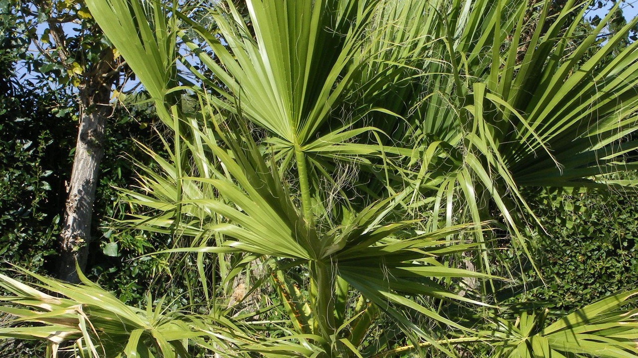 Photo of Outdoor in Villedaigne