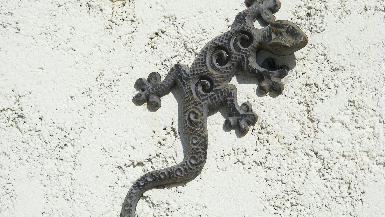 Photo of Others in Villedaigne