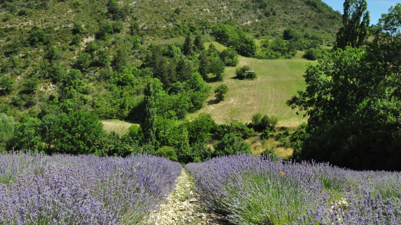 Photo of Outdoor in Coux